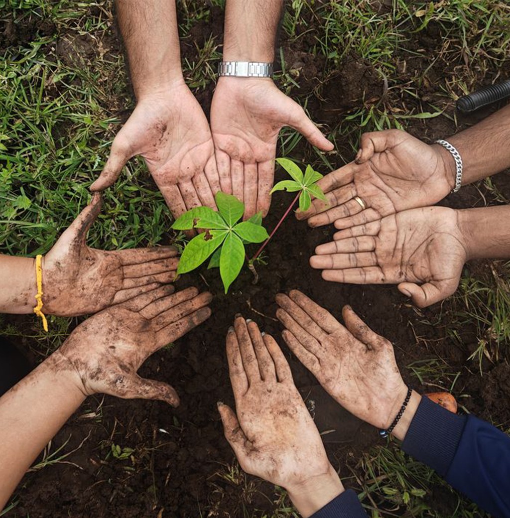 Plantation Drive